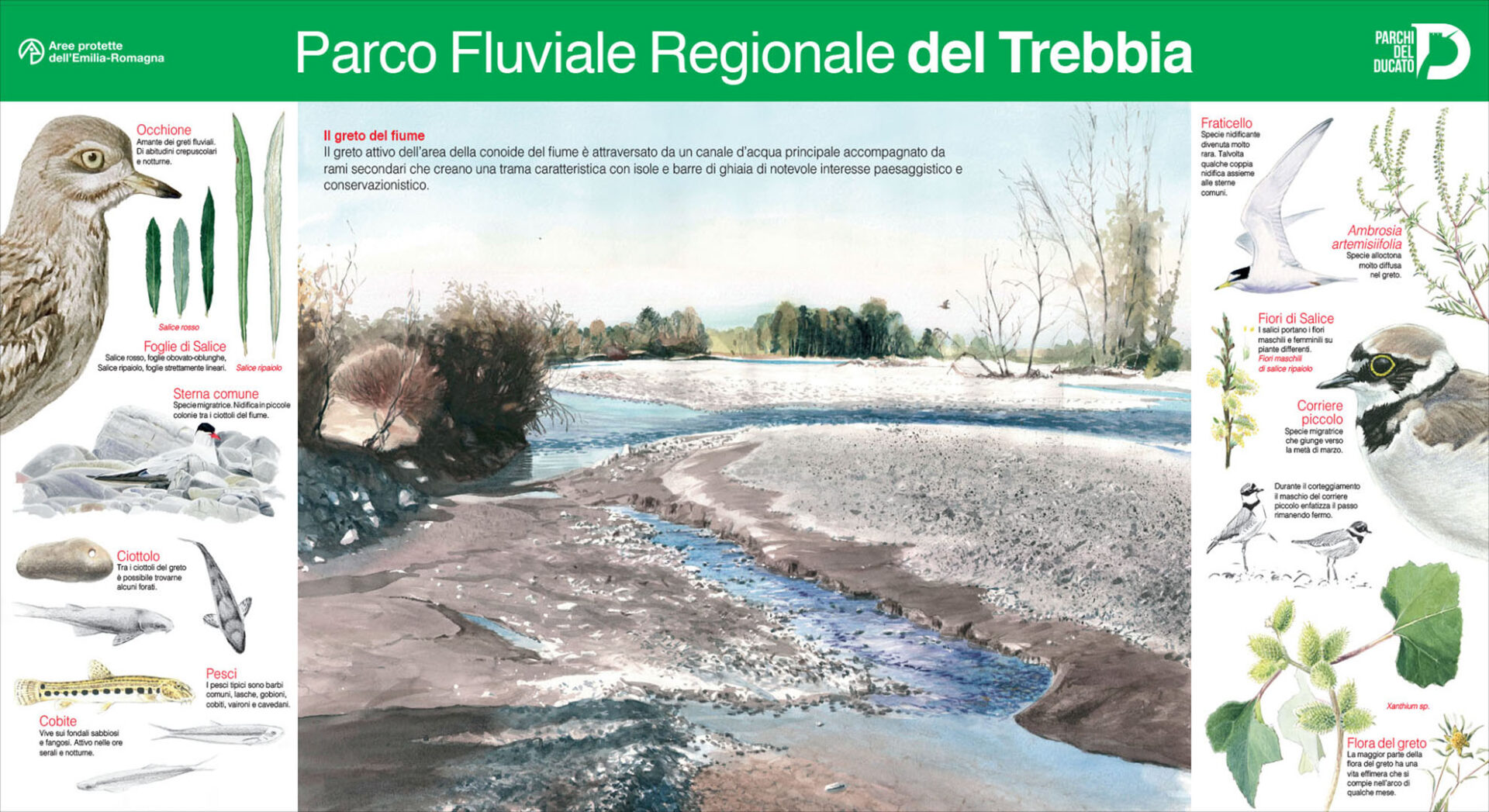 copertina parco regionale fluviale trebbia